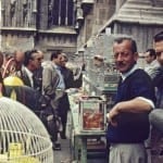 Milan, Public market at Piazza del Duomo (1960). Foto: bhpdia85731