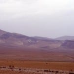 Syrische Wüste, Richtung Palmyra. Foto: bhpdia86876