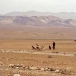Syrian Desert, toward Palmyra. Foto: bhpdia86878
